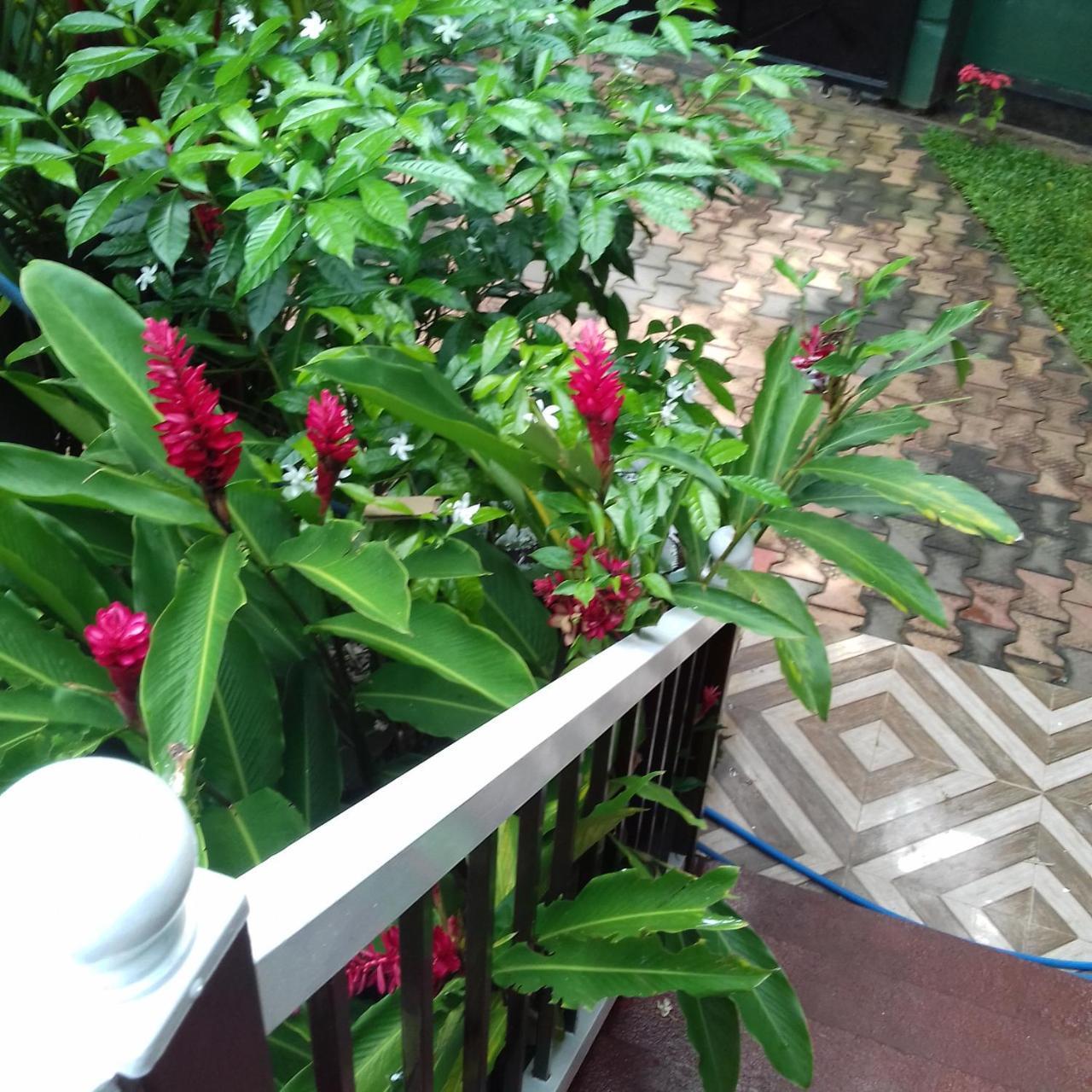 היקדואה Rainbow Guest House מראה חיצוני תמונה